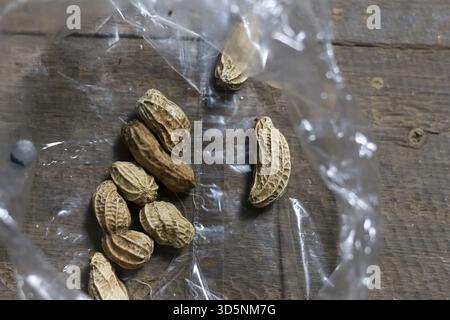 Simple pile of natural raw peanuts in shell inside plastic bag. This healthy food snack sits on rustic wooden table background, looking fresh and orga Stock Photo