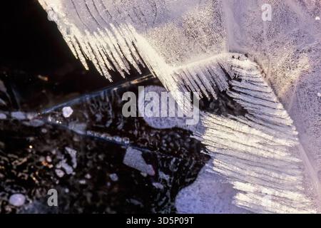Ice crystals patterns on a cold winter day Stock Photo