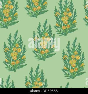 Seamless pattern with thuja branches and cones on a green background Stock Vector