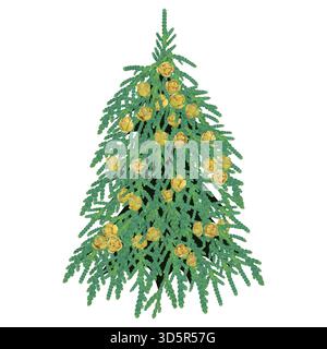 Christmas tree made of thuja branches with cones on a white background Stock Vector