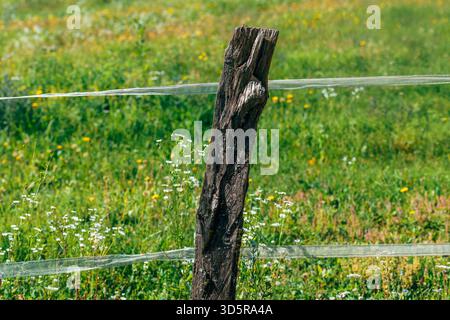 Closeup of old timber clad fence on farmland, weathered wooden boards showing rustic countryside texture. Selective focus. Stock Photo