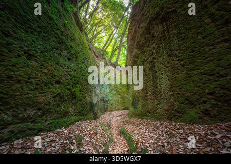 View inside the deep, narrow Via Cava di San Rocco, an ancient Etruscan sunken road near Sorano, Tuscany. High tuff walls are covered in bright green Stock Photo