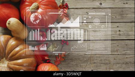 Displaying pumpkin and gourd cluster sitting on wooden plank with digital HUD overlay, copy space Stock Photo