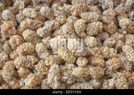 Close up photo of dried white mulberry, selective focus. Stock Photo