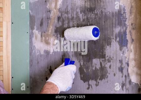 Middle-aged adult man, a jack of all trades, repairs the premises. Treatment of the wall with a special solution against mold and mildew using a const Stock Photo