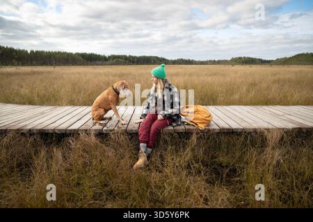 Serious woman owner training hunting dog with commands on eco boardwalk over autumn peat bog Stock Photo