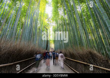Visitors on their way through bamboo forest, motion blur, long exposure, towering bamboo stems in Arashiyama bamboo forest, Kyoto, Japan Stock Photo
