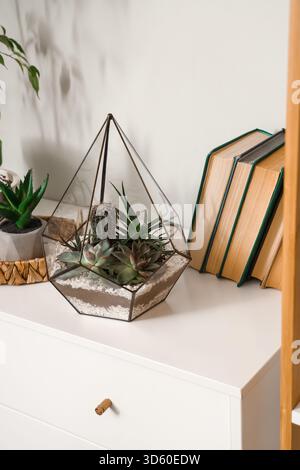 Florarium with books on chest of drawers near light wall Stock Photo