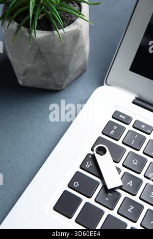 USB flash drive, modern laptop and houseplant on grey table Stock Photo
