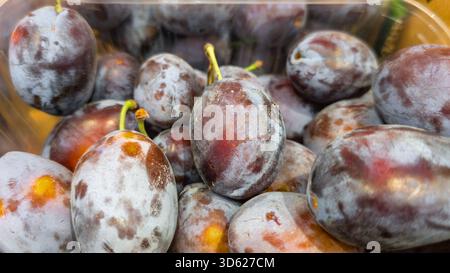 Close-up of ripe plums with natural wax texture arranged in a market crate. Stock Photo