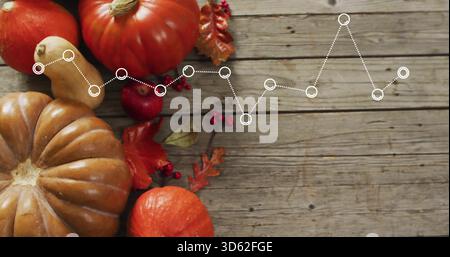 Displaying ribbed tan pumpkin, orange gourds on plank with white dotted line overlay, copy space Stock Photo
