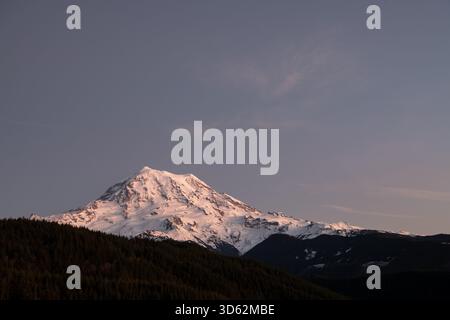 View of Mount Rainier's snow-capped peak, kissed by the warm glow of the setting sun against a cool sky, towers over a dark forest, Carbonado, Washing Stock Photo