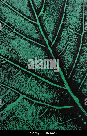 Botanical leaf print. Detail of botanical maple tree leaf print made with acrylic paint and relief printing process. Stock Photo