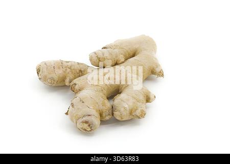 Fresh ginger root photographed against a plain white backdrop, showing intricate patterns and rough skin texture. Ideal for culinary, botanical, or he Stock Photo