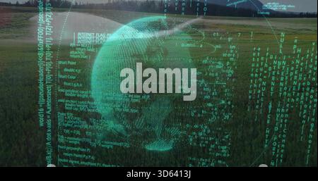 Hovering teal hologram globe projecting wire grids, coordinate markers and code columns over meadow Stock Photo