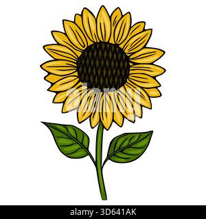 Vibrant yellow sunflower with green leaves and a detailed dark center, presented as a clean vector illustration on a white background. Stock Vector