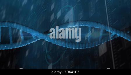 Glowing blue DNA double helix stretching across frame in lab, with binary digits and HUD rings Stock Photo