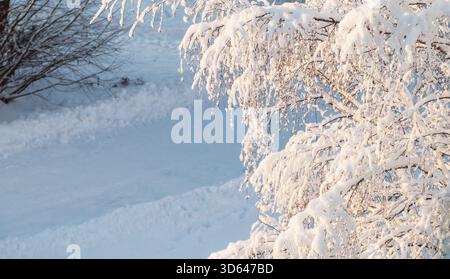 Winter trees background, frosty winter tree branches on the background of the snowy road, focus at the branches Stock Photo