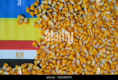 Сorn kernels, Ukrainian flag, and Egyptian flag. Ukraine-Egypt trade relations. Stock Photo