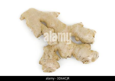 Fresh ginger root displayed on white, showing organic structure and intricate folds. Stock Photo