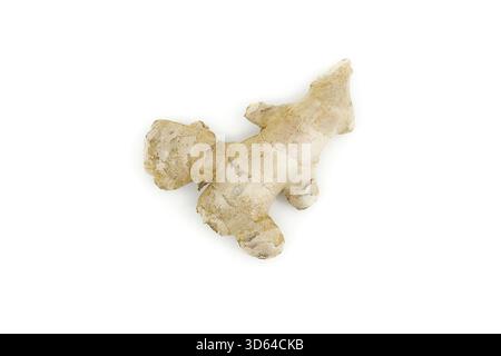 Ginger root isolated on bright white, showing its earthy layered outer skin. Stock Photo