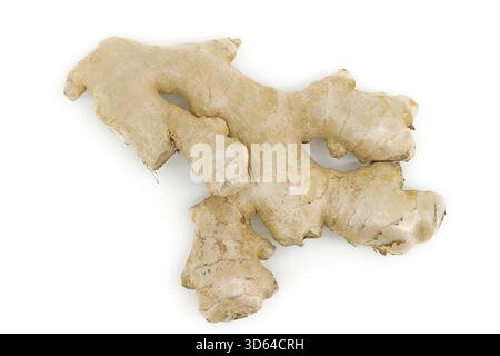 Organic ginger root isolated under studio light on bright white background. Stock Photo