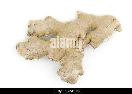 Raw ginger root displayed on white, highlighting rough texture and natural form. Stock Photo