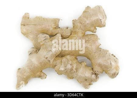 Organic ginger root placed on plain white background, showing natural shapes. Stock Photo
