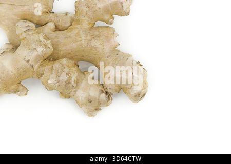 Fresh ginger root isolated on white surface with rugged details visible. Stock Photo