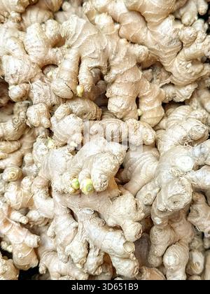 Organic ginger root on display in a market. No people. Backgrounds. Stock Photo