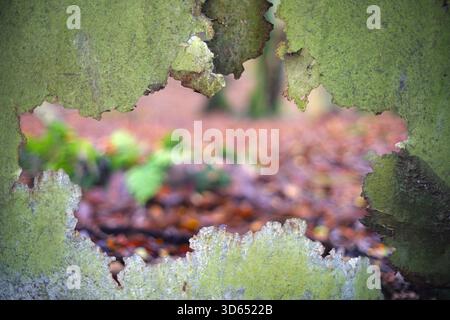 A hole rusted through a sheet of metel with blurred background. Stock Photo