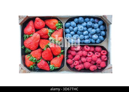 Mix of organic berries. Rustic basket of fresh raspberries, blueberries and strawberries, top view isolated on white background, cut out Stock Photo
