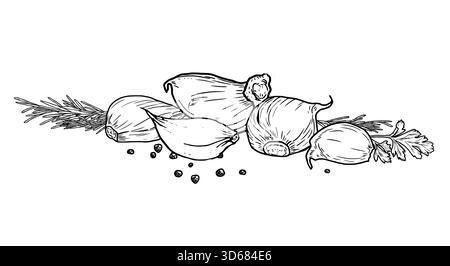Garlic cloves and hot peppercorns, sketch. Vector illustration. Spicy vegetable and rosemary, isolated on a white background. Suitable for country Stock Vector