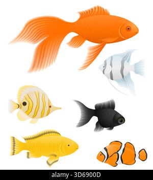 aquarium fish home decorative cartoon stock vector illustration isolated on white background Stock Vector