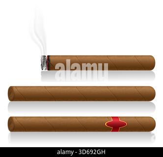 realistic tobacco cigar cartoon stock vector illustration isolated on white background Stock Vector