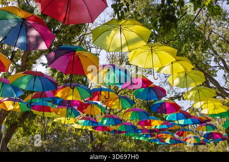 A vibrant canopy of colorful, multi-hued umbrellas suspended over a park in Lisbon, Portugal, creating a cheerful, abstract installation against the t Stock Photo