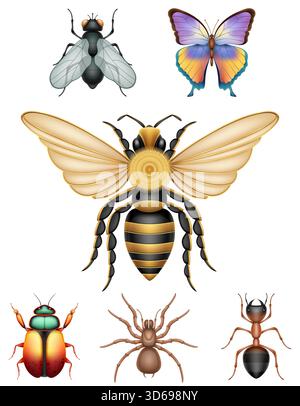 insects and bug wildlife animals cartoon stock vector illustration isolated on white background Stock Vector