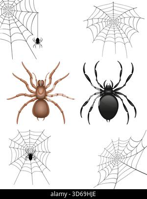 spider and web cartoon stock vector illustration isolated on white background Stock Vector
