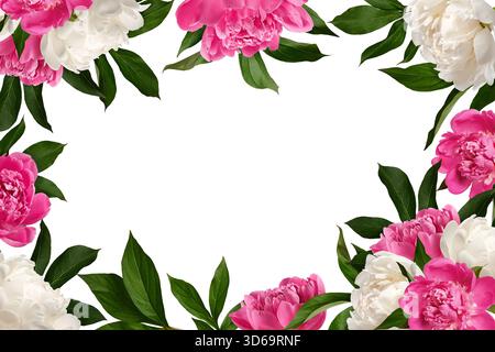 Festive floral frame. Pink and white peony flowers with leaves isolated on white background. Stock Photo