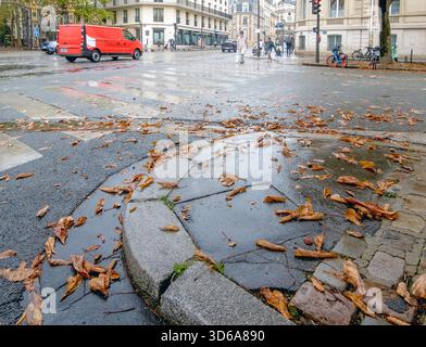Brown leaves on a wet street in Paris, France Stock Photo