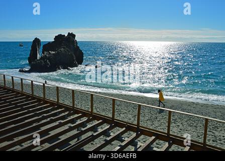 Lonely pigeon and person on a deserted beach Stock Photo