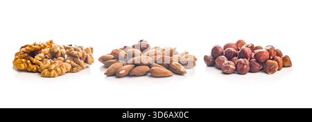 Peeled walnut, hazelnut and almond kernels isolated on a white background. Stock Photo