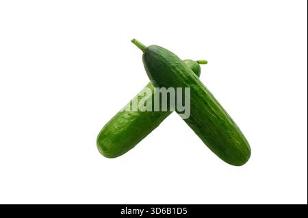 Two crisp green mini cucumbers arranged together on pure white background. Fresh vegetables perfect for healthy snacks and culinary use. Stock Photo