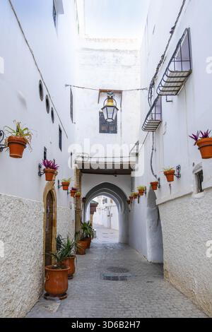Rabat, Morocco â€“ A quiet narrow alley in the historic medina of Rabat, lined with whitewashed buildings, traditional wooden doors, and decorative st Stock Photo