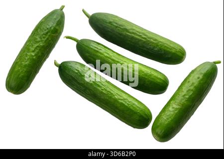 Group of five fresh green mini cucumbers arranged on clean white background. Perfect for food photography and healthy eating concepts. Stock Photo