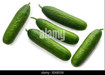 Five fresh green mini cucumbers beautifully arranged on pure white background. Crisp and refreshing vegetables perfect for culinary photography. Stock Photo