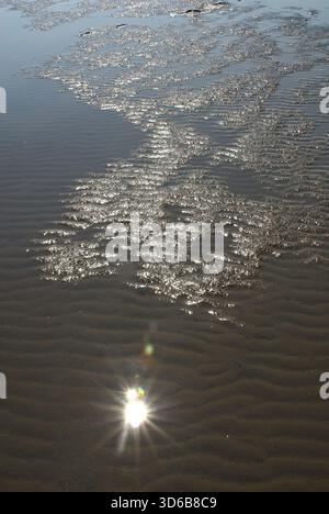 Sparkling Reflections in the Mudflats – Light Play on Tidal Ripples Stock Photo