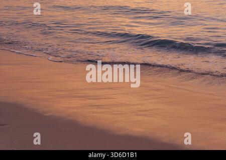 Golden light reflects off gentle ocean waves, creating a sunlit, tranquil shoreline and evoking the peace of beach evenings. Stock Photo