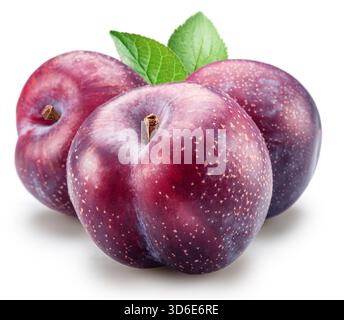 Ripe chinese plums with green leaf isolated on white background. File contains clipping paths. Stock Photo