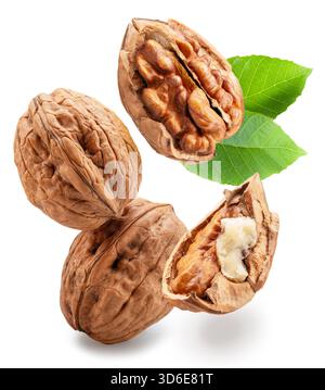 Whole walnuts and split walnut with kernel inside it isolated on white background. Clipping paths. Stock Photo